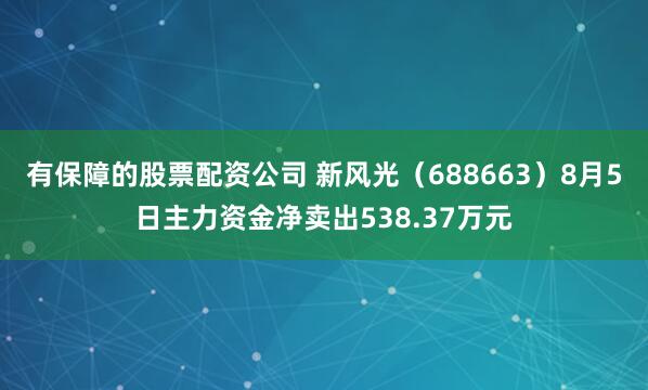 有保障的股票配资公司 新风光（688663）8月5日主力资金净卖出538.37万元